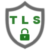Custom TLS Logo 2